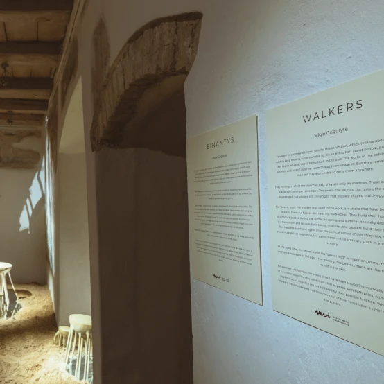 Dykumų miražas UMI galerijoje: keramikos paroda „Einantys“