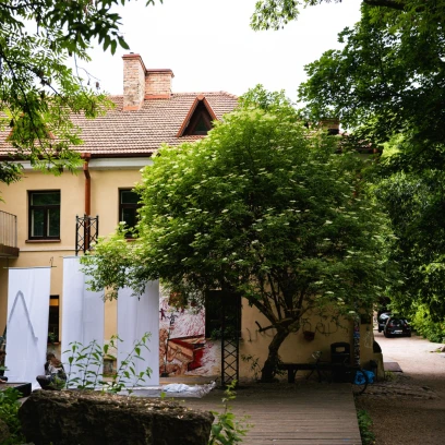 ,,Vilnelės sapnas‘‘ – kerinti meno ir muzikos sintezė Vilniaus kultūros naktyje