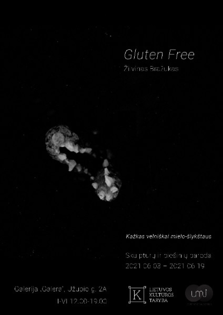 „Gluten Free“. Žilvino Bražuko piešinių ir skulptūros darbų paroda