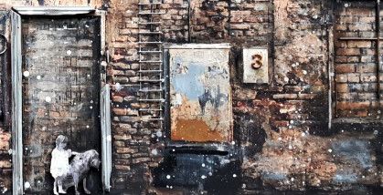 „Sienų dienoraščiai“. M. Rubavičiūtės ir T. Rimeikos paroda-instaliacija