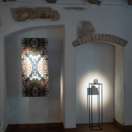 UMI Galerijoje - Severijos Žukauskytės paroda „Vidinis reljefas“