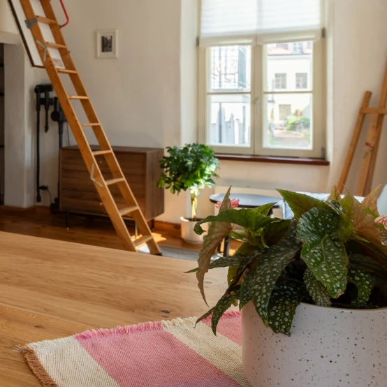 Open Call for a two cozy live-in residencies at UMI Vilnelė Residency